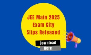 JEE Main 2025 City Slips